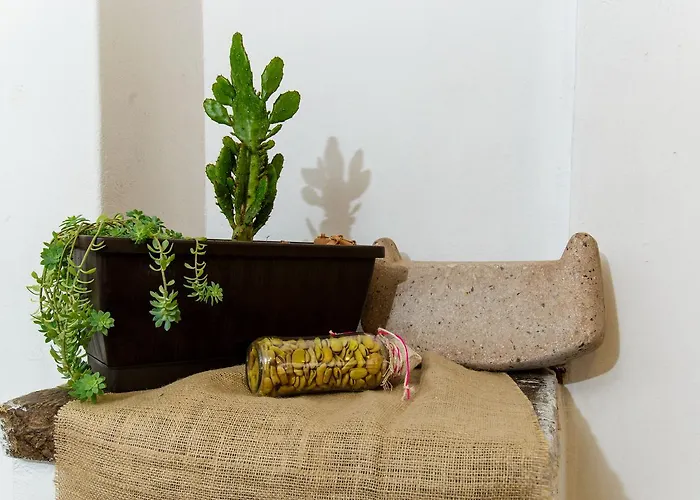 & Apartamento